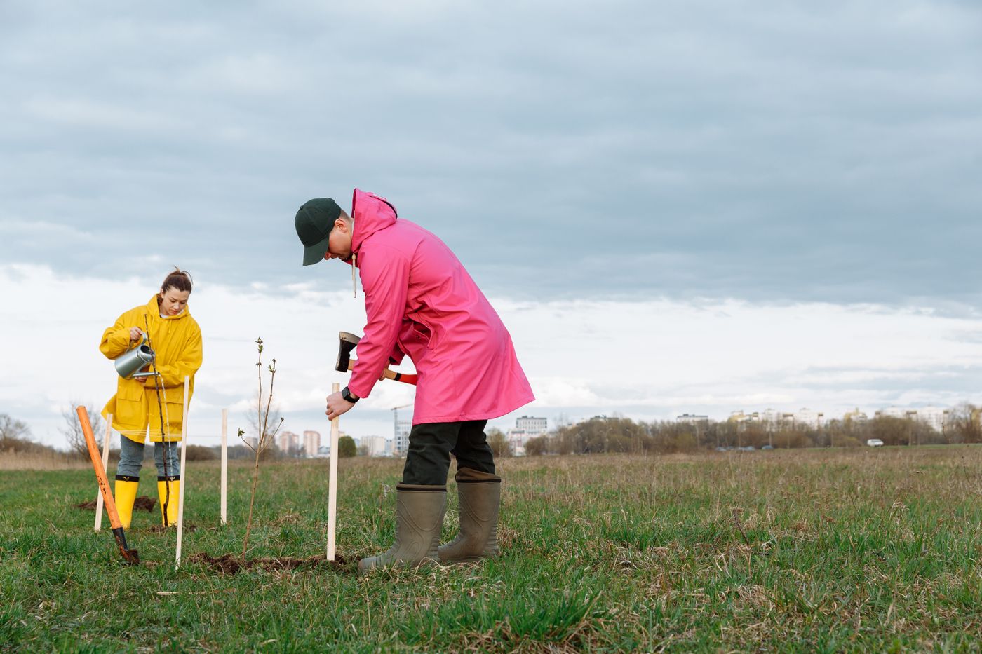 Volunteers planting and watering a young tree